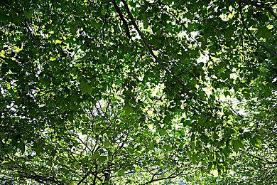 单板滑雪游戏《Shredders》12＆6日增加PS5版