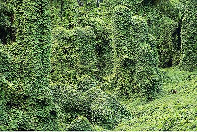 《匹诺曹的谎言》最新演示预告！游戏系统全揭秘！